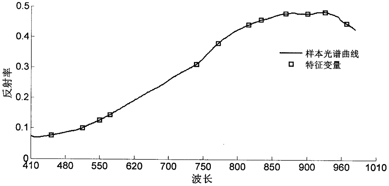 Single-grain fixed-point recognition technology by aiming at different categories of wheat seeds