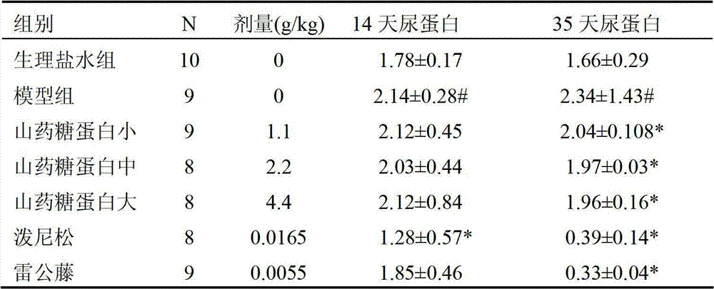 Application of Chinese yarn glycoprotein in preparation of medicament for treating nephritis and renal hypertension