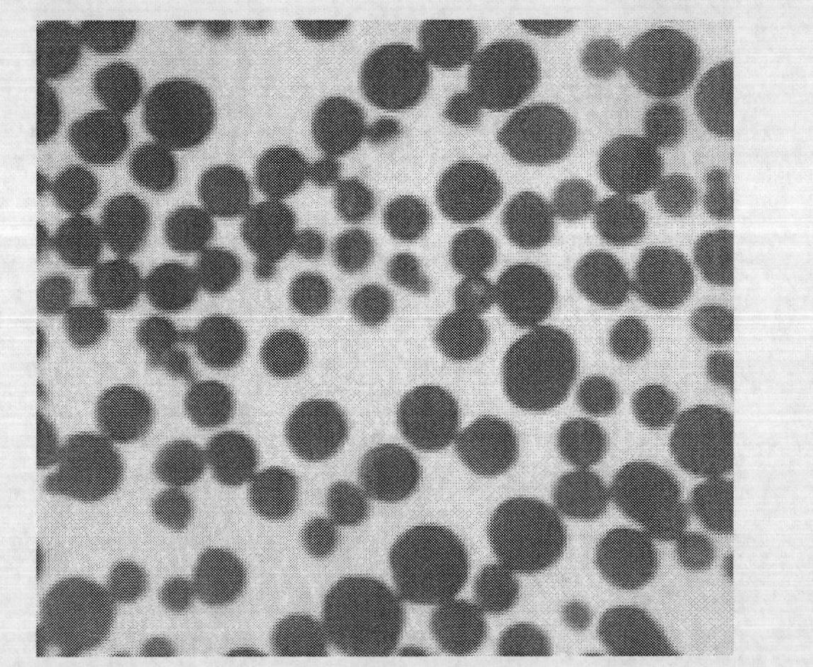 Rigid ceramic/agarose composite microsphere and preparation method thereof