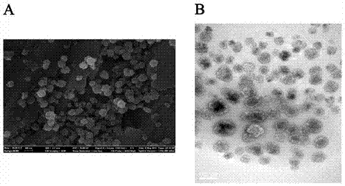 Preparation method for nanometer preparation of thrombolytic drug released under temperature control