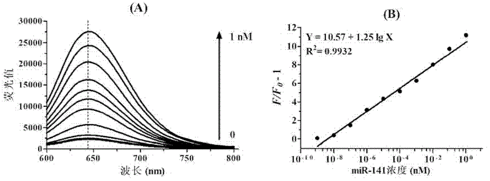 MicroRNA quantitative detection analytic method by utilizing isothermal amplification to synthesize fluorescent nano silver cluster probe