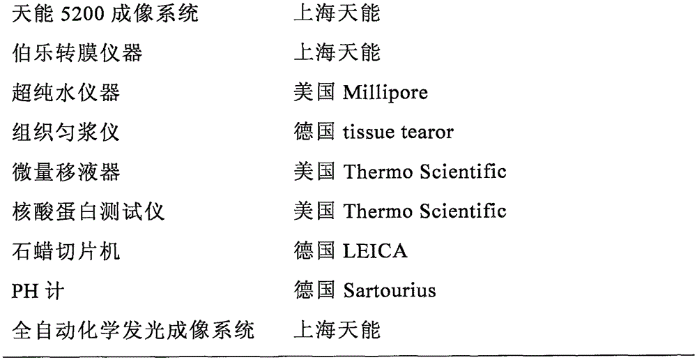 Long QT syndrome (LQTs)-related miRNA (microribonucleic acid) and application thereof