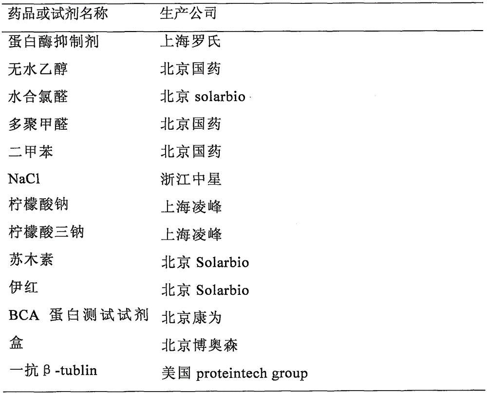 Long QT syndrome (LQTs)-related miRNA (microribonucleic acid) and application thereof