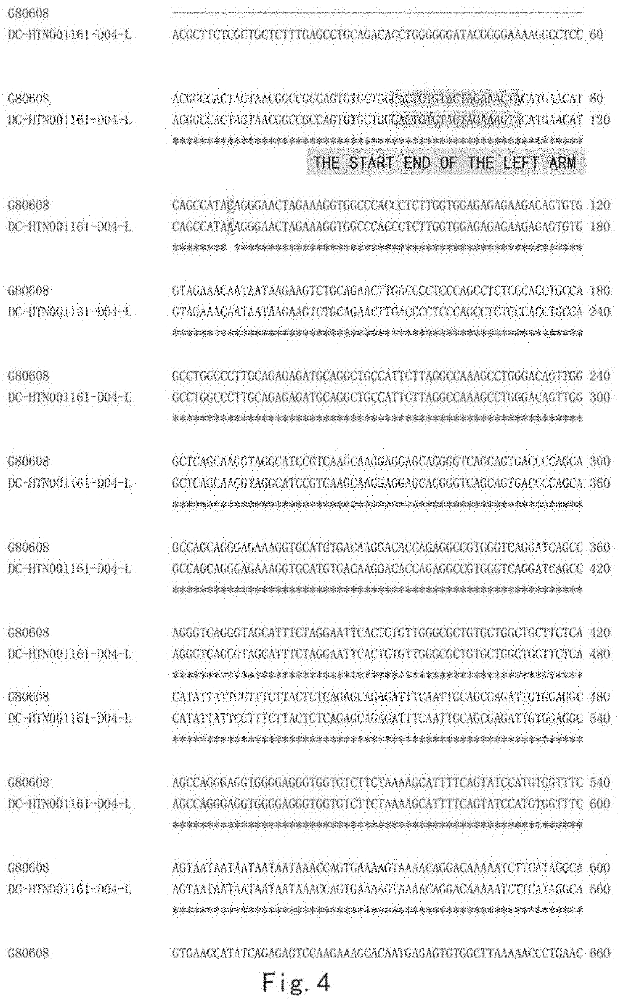 DNA reference standard and use thereof