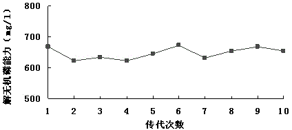 Citrobacter freundii with phosphorus-dissolving potassium-dissolving capability and application thereof