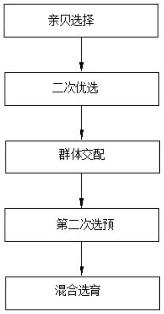 Crassostrea gigas breeding method capable of increasing meat percentage