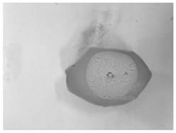 Marinated poultry egg processing method based on dry salting