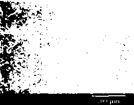 Preparation method of modified nitrile rubber and modified nitrile rubber