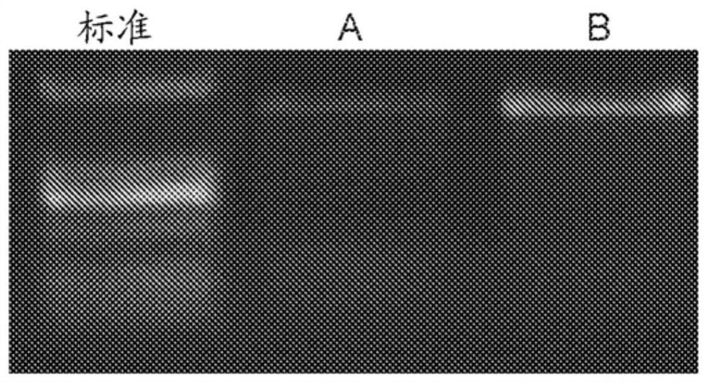 Compositions and methods for treating leber's hereditary optic neuropathy