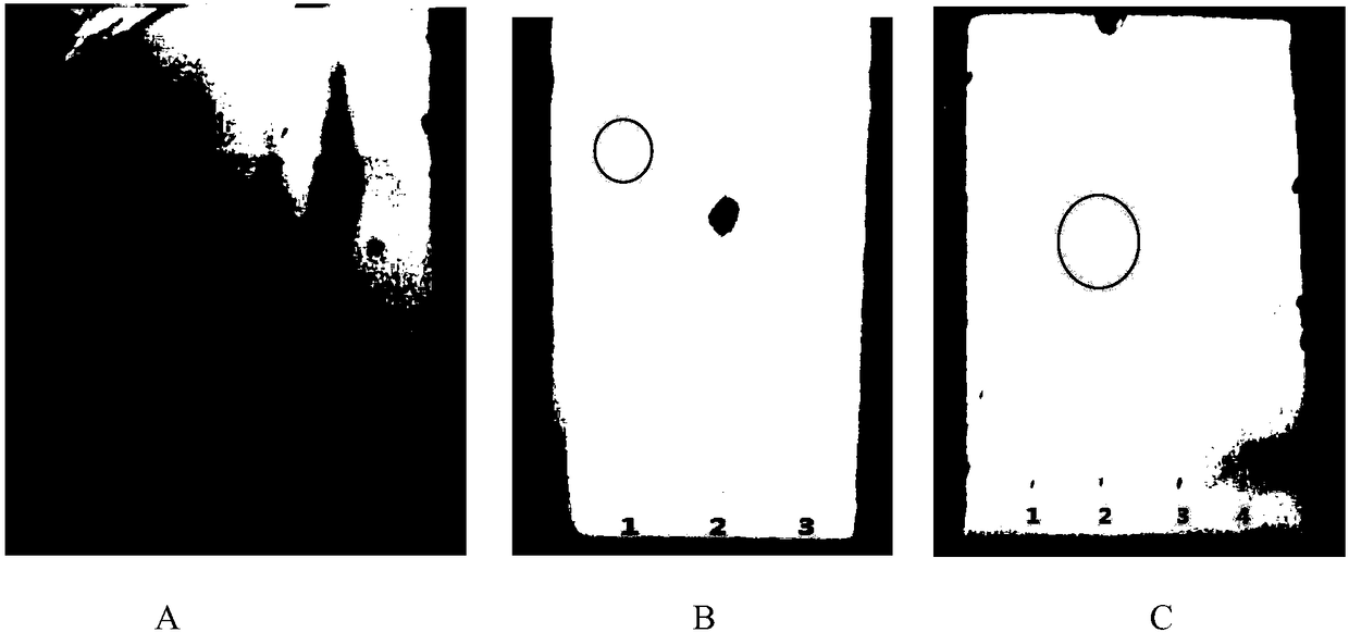 High-polymer material with cholic acid and liposome modified by high-polymer material