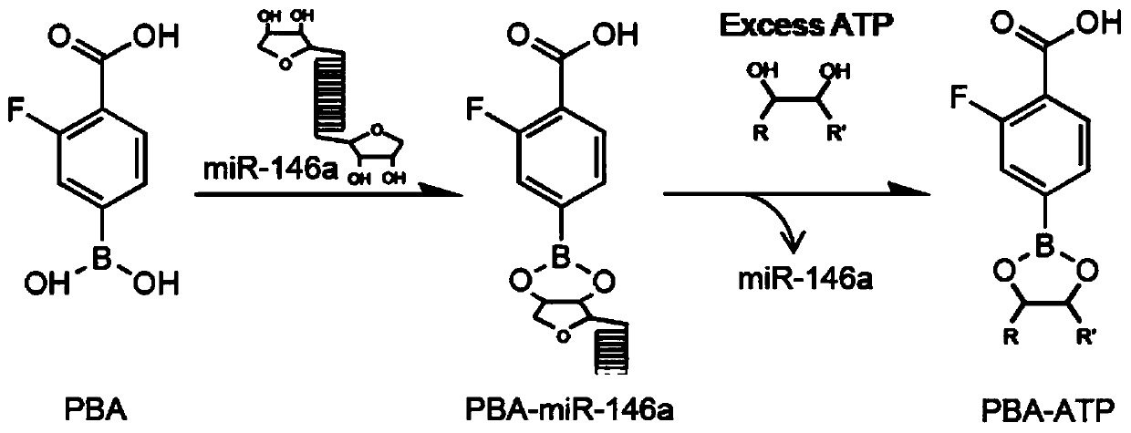 A tumor microenvironment-responsive gene nanomicelle and its preparation method and application