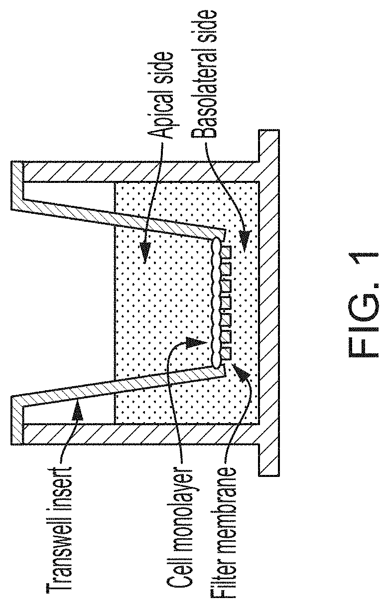 Using Alternating Electric Fields to Increase Permeability of the Blood Brain Barrier