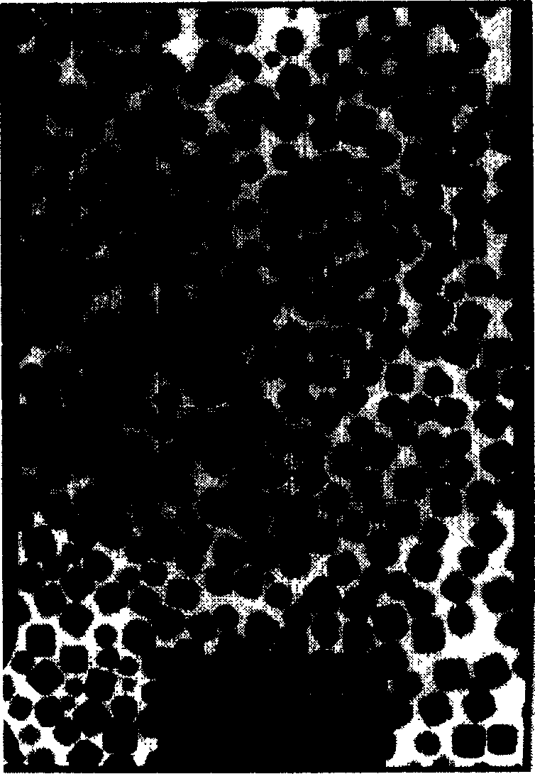 Preparing method for cubic silver nanometer grain