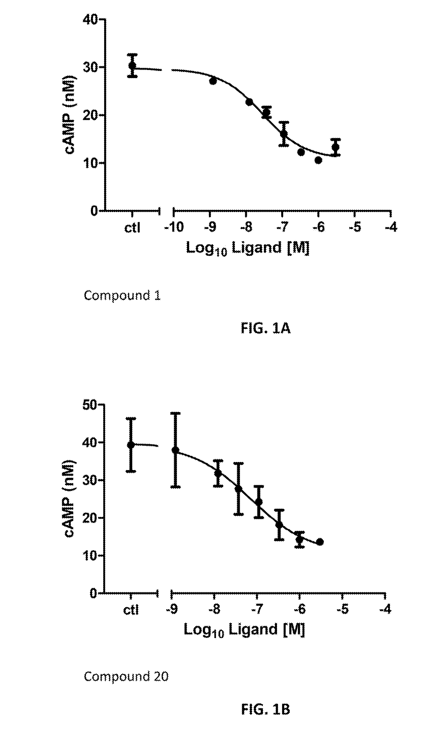 APJ Receptor Compounds