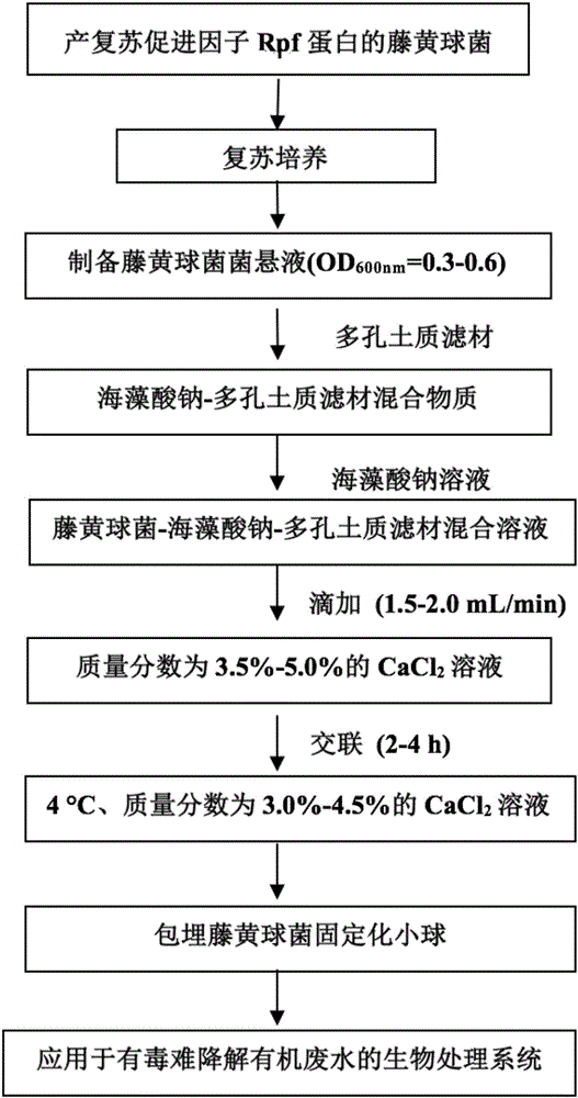 Preparation method and application of micrococcus luteus immobilized beads