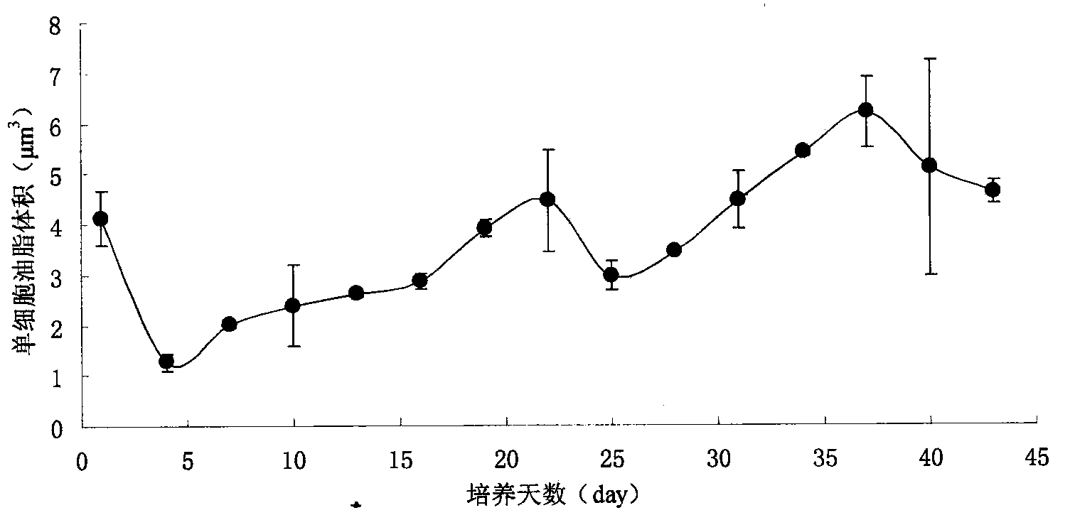 Method for detecting oil content of microalgae