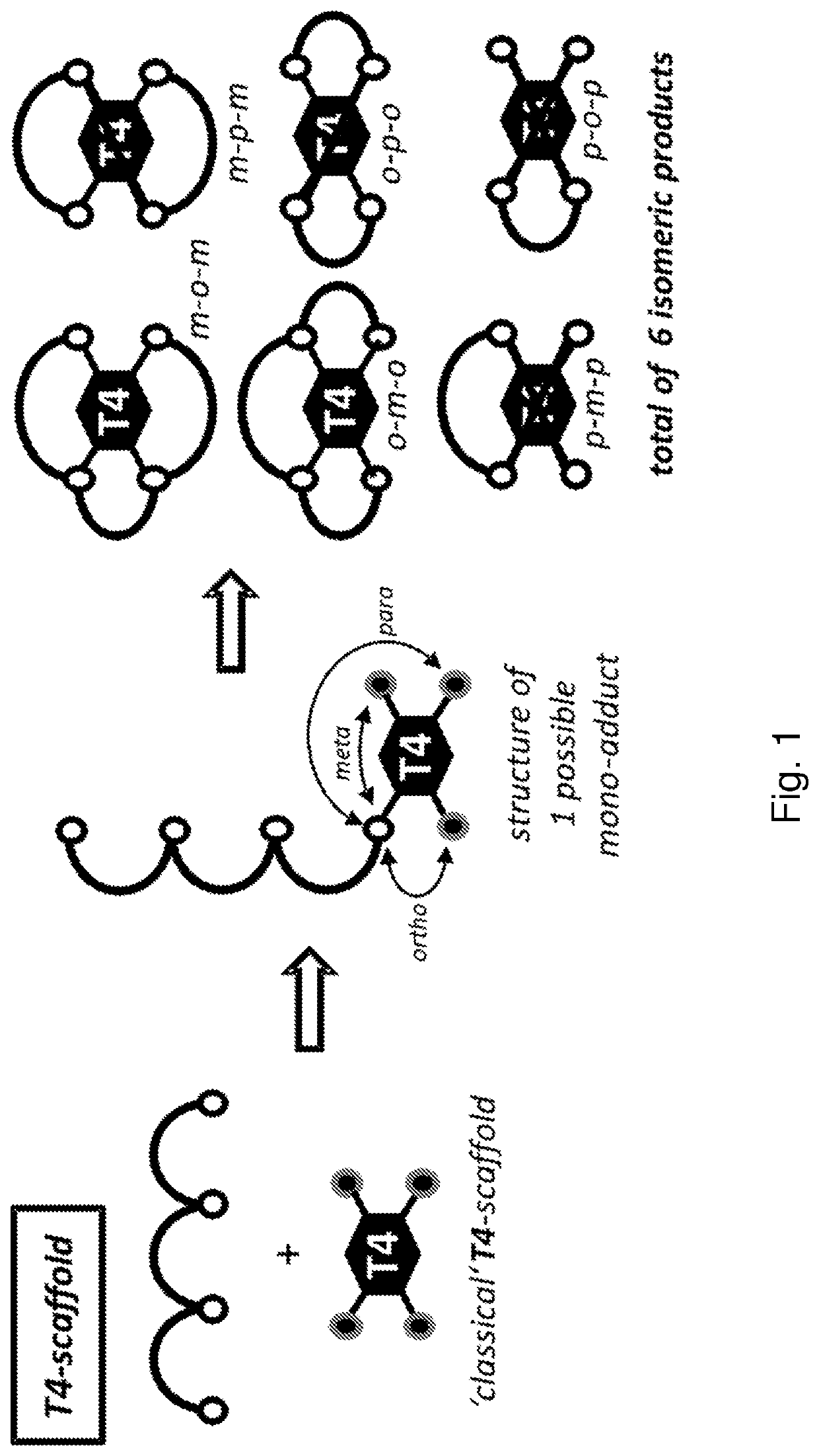 Multicyclic peptides and methods for their preparation