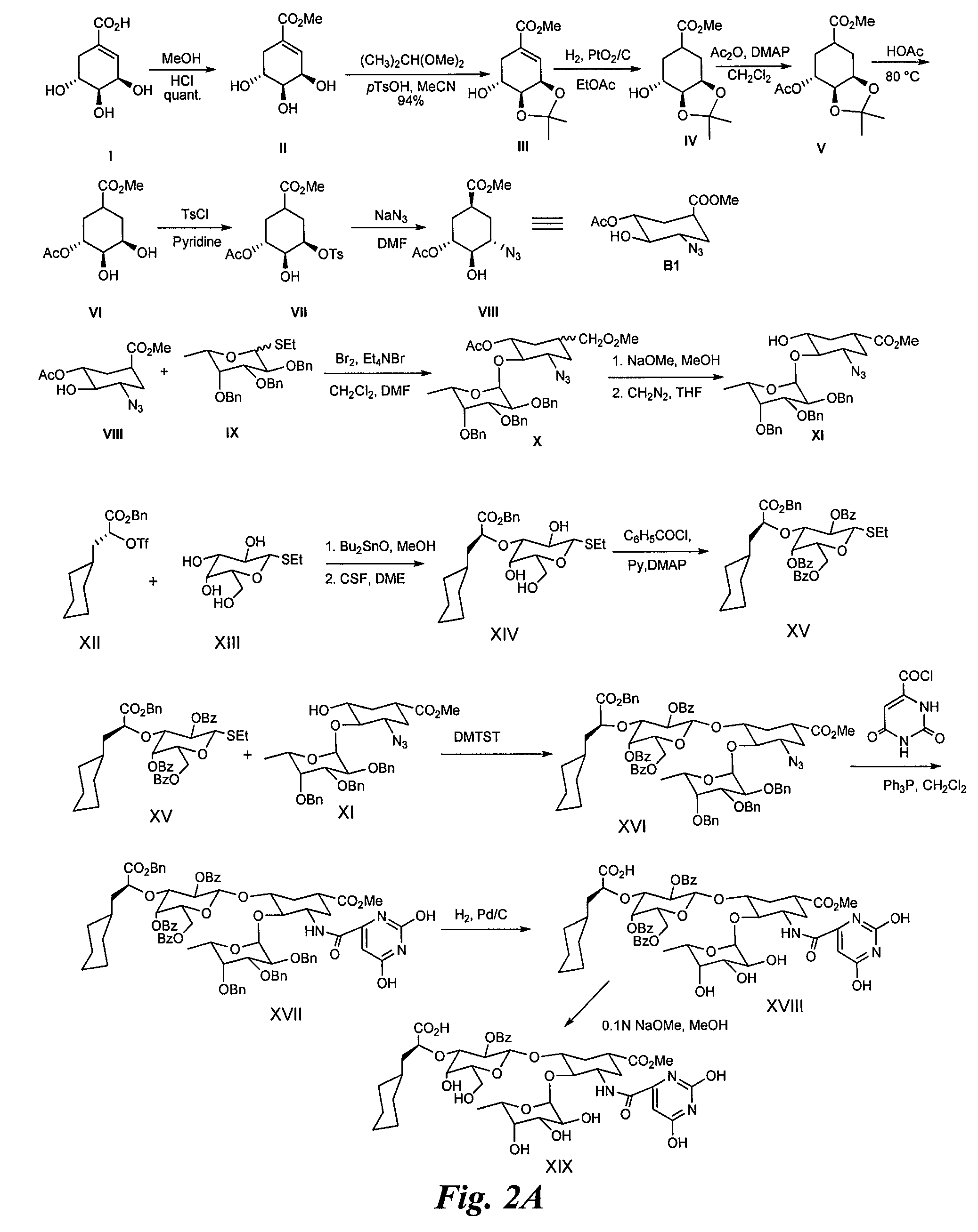 Heterobifunctional inhibitors of E-selectins and CXCR4 chemokine receptors