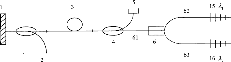 Polarization dual wavelength fiber-optical ultrashort pulse laser