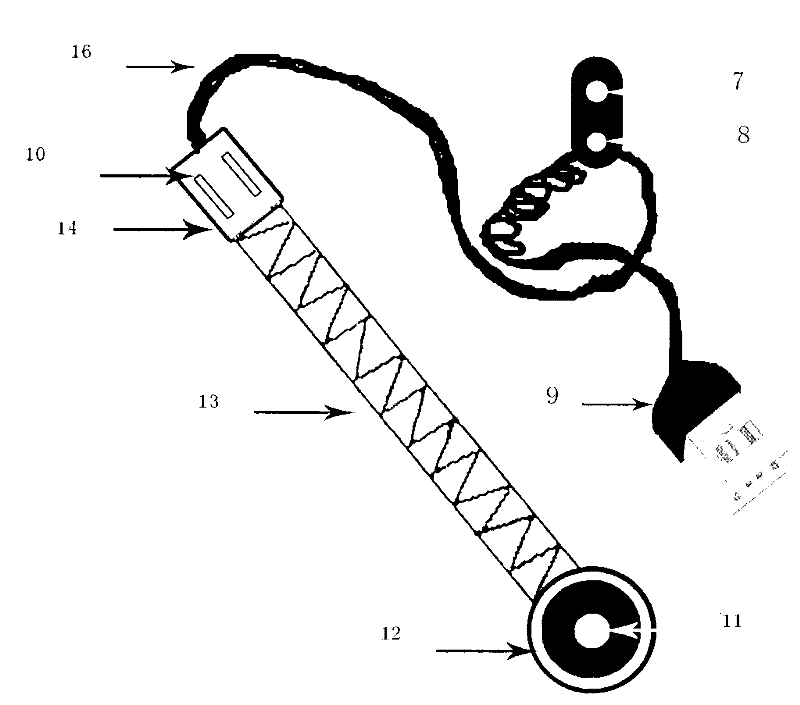 Visible oral cavity mouth gag