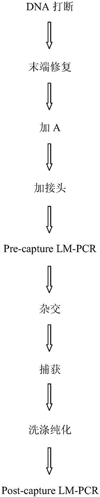 Method and kit for enriching 4000 human pathogenic target genes