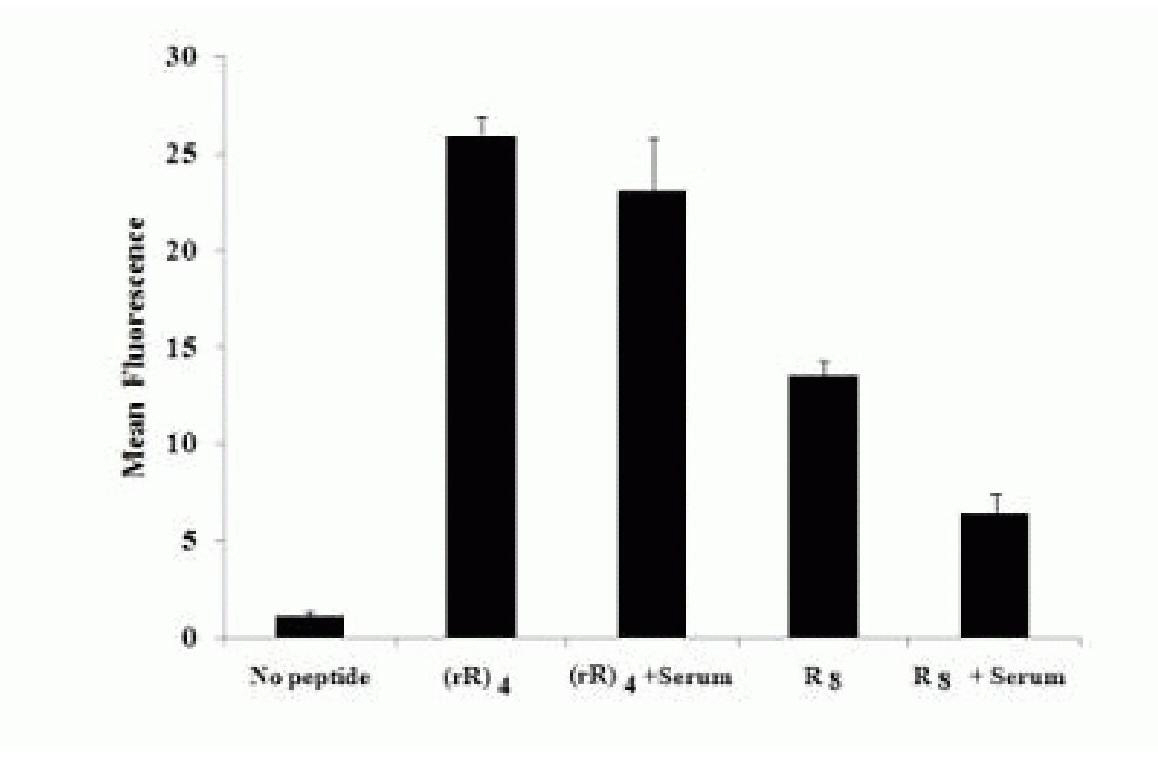 Arginine hybrid cell-penetrating peptide and application thereof