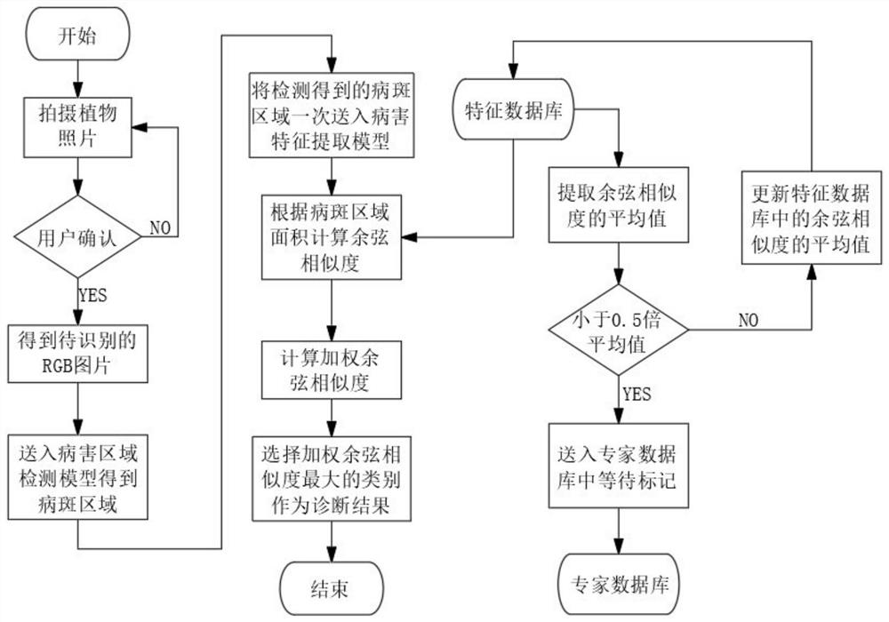 A Plant Disease Diagnosis System Based on Lesion Correlation