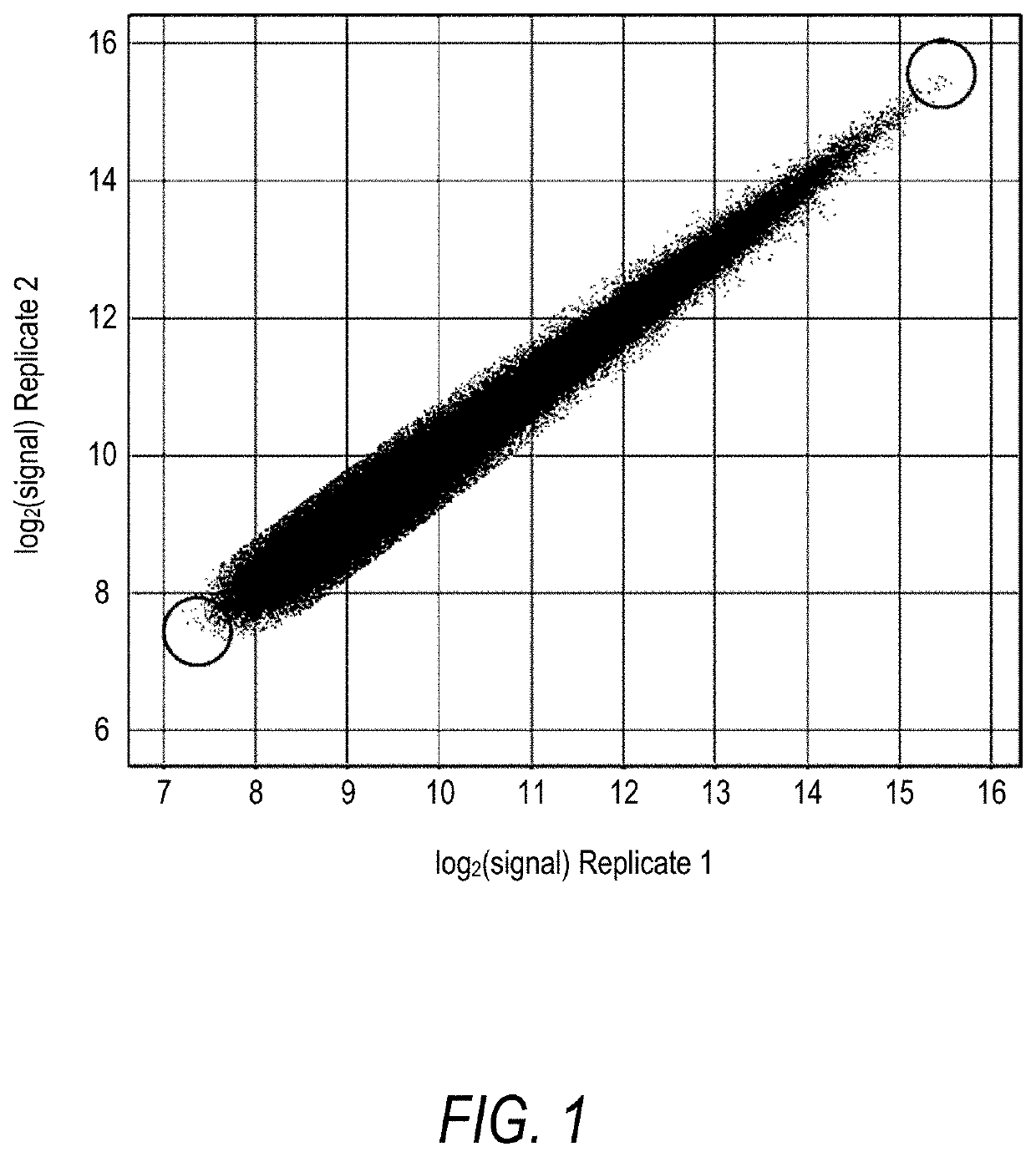 Identification of transglutaminase substrates and uses therefor