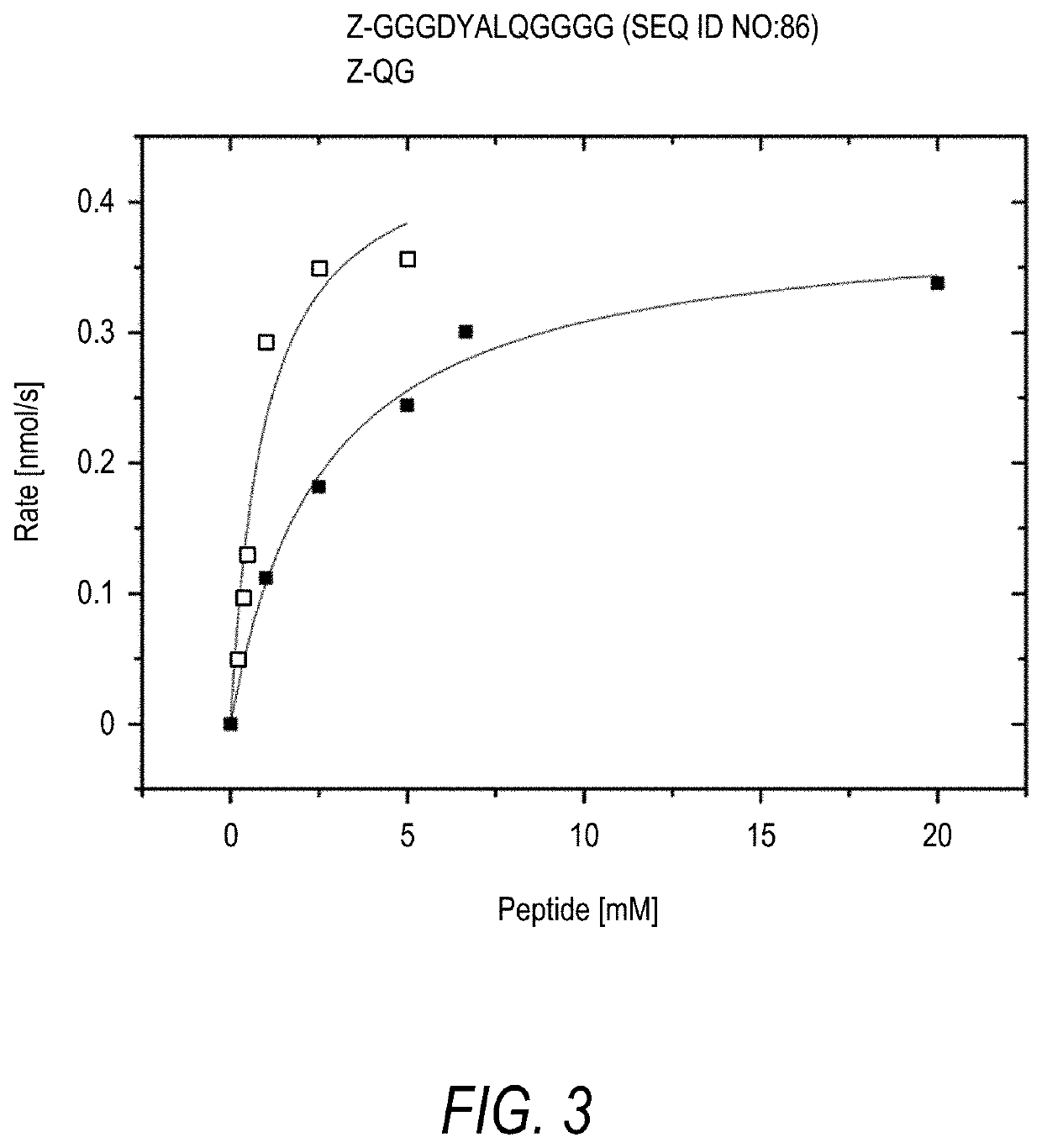 Identification of transglutaminase substrates and uses therefor