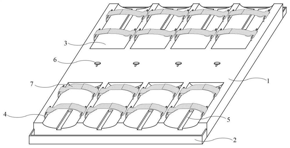 Operation tray for fixing murine