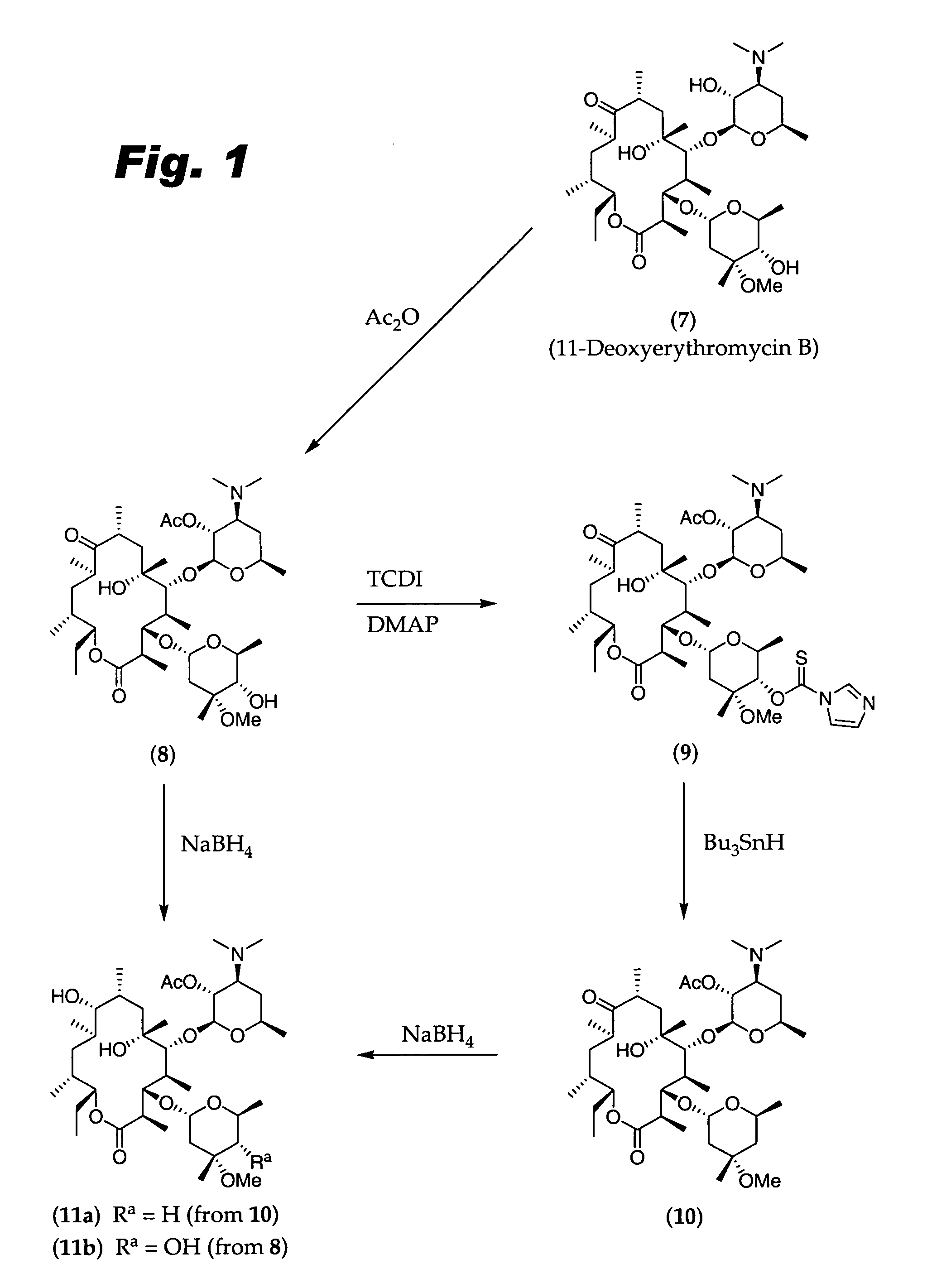 11-Deoxy-6,9-ether erythromycin compounds