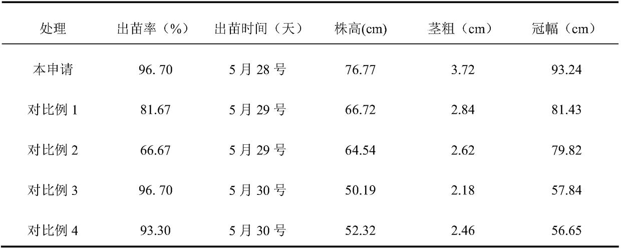 Cultivation method for improving yield of Sichuan konjac