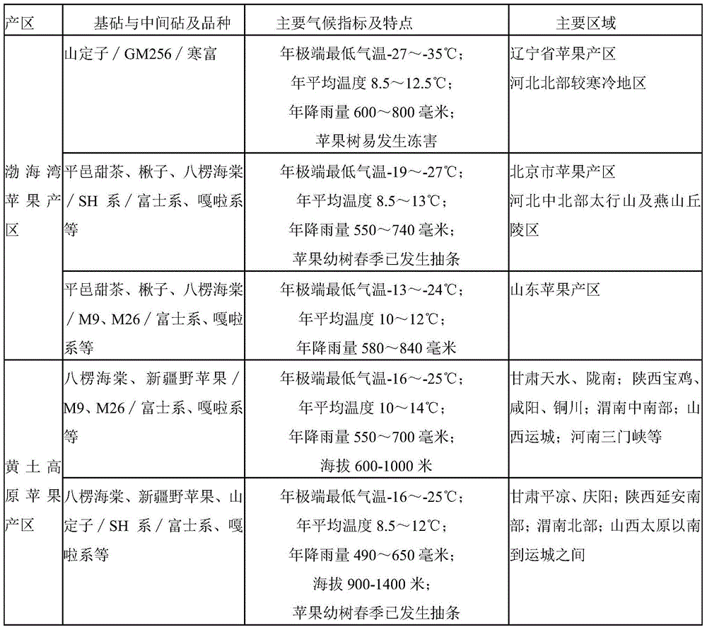 A kind of intensive and high-efficiency cultivation method of apple tree dwarf stock