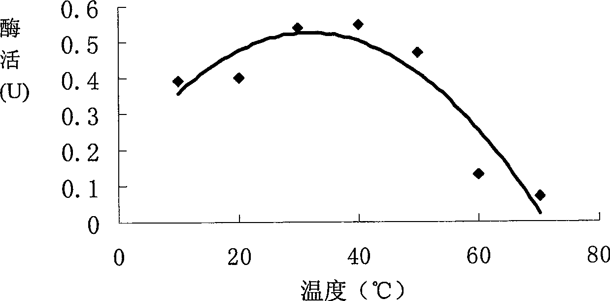 Bile salt hydrolase and preparation method and special preparing strain thereof