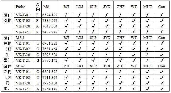 Typing kit, primer and typing method for vitamin K metabolism related genes