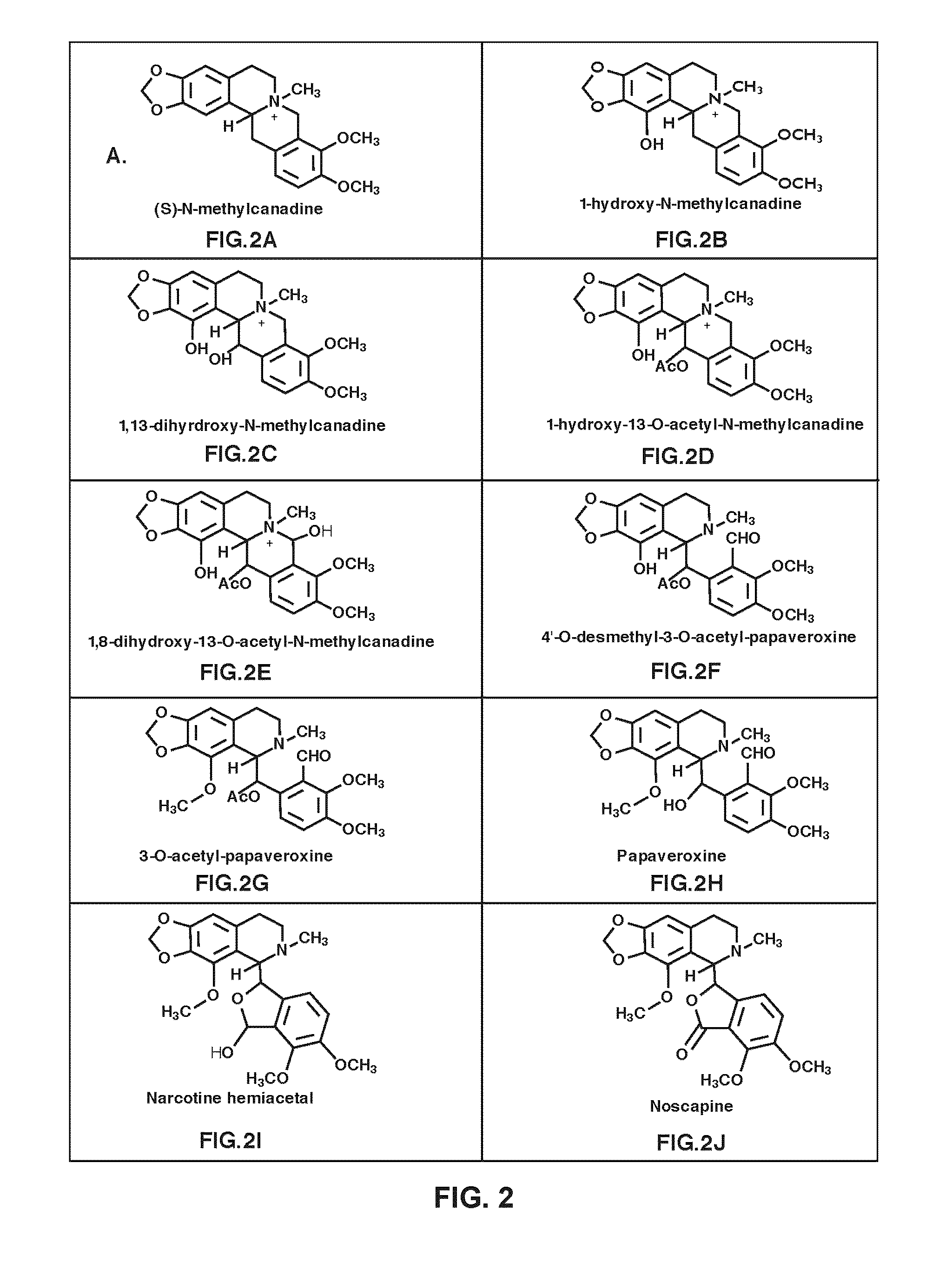 Compositions and methods for making noscapine and synthesis intermediates thereof