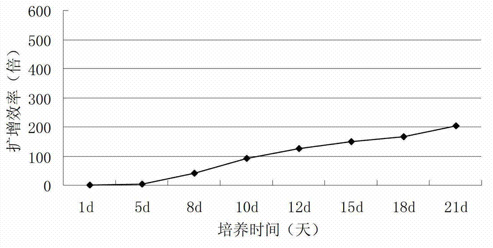 Method for culturing autologous peripheral blood lymphocytes