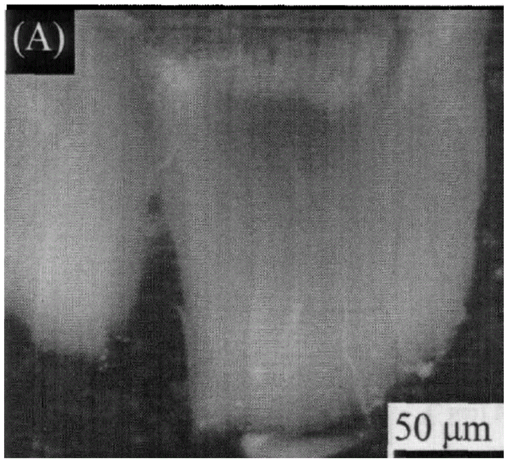 A method for directly growing carbon nanotube arrays on fiber substrates