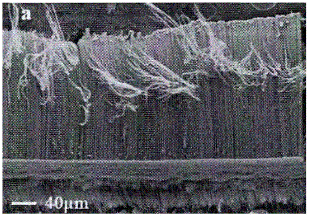 A method for directly growing carbon nanotube arrays on fiber substrates