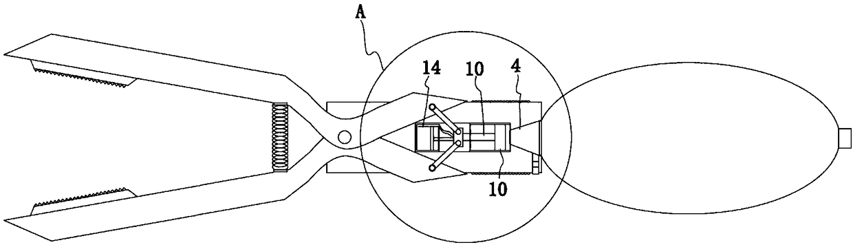 Novel inflatable haemostatic forceps