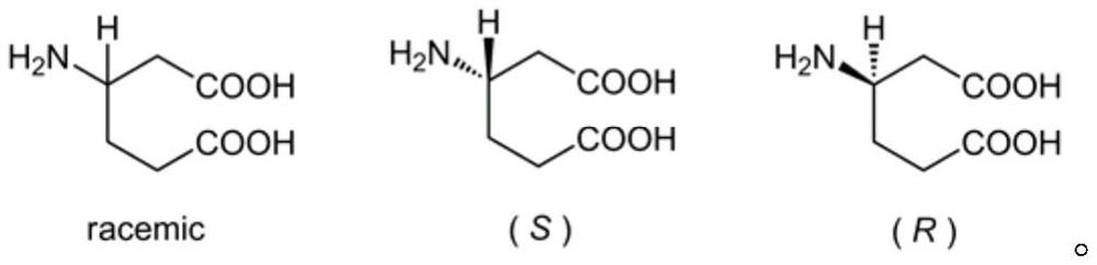 Preparation method of beta-homoglutamic acid