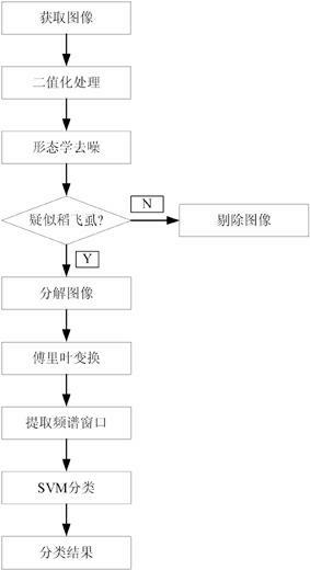 Method for automatically monitoring and reporting insect condition of rice planthopper