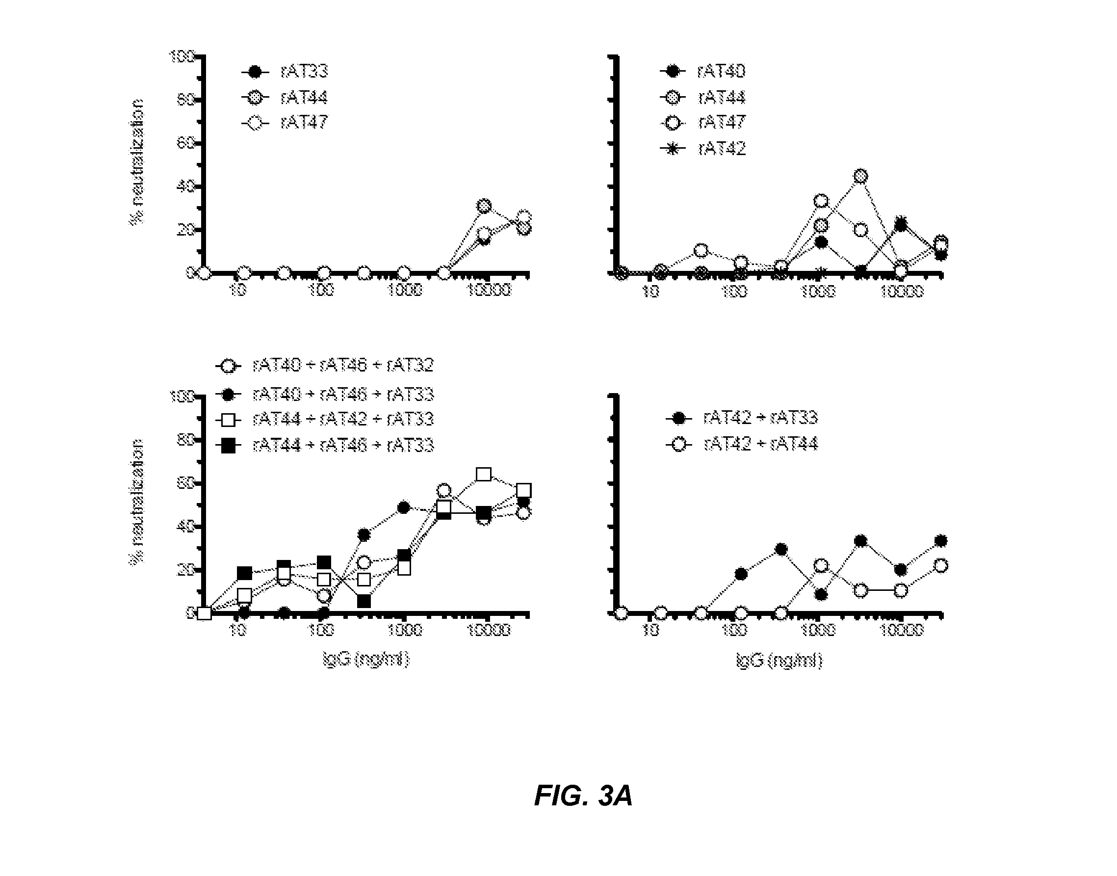 Rsv g protein specific antibodies