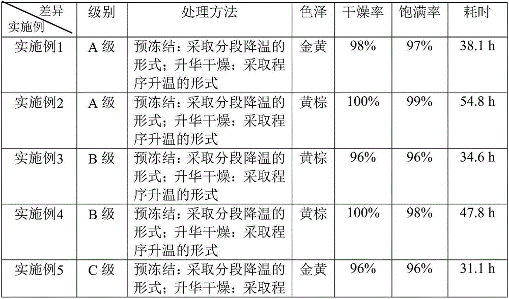 Freeze-drying method for cordyceps sinensis