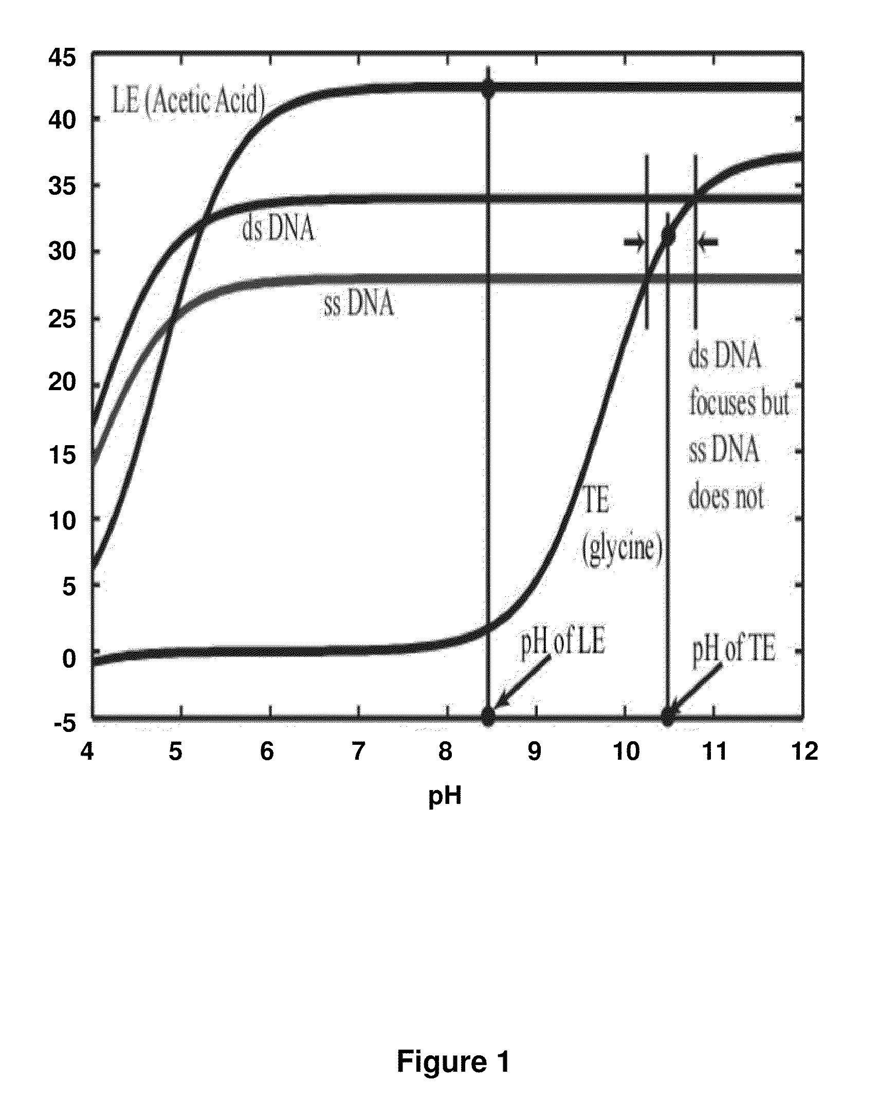 Isotachophoretic Focusing of Nucleic Acids