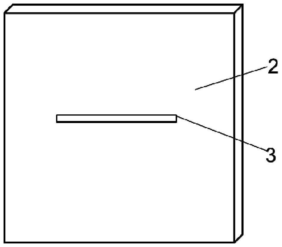 A device and method for annual propagation of apple cotton aphid