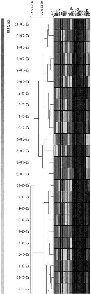 Gene expression diagnostic chip for acute exacerbation of chronic obstructive pulmonary disease