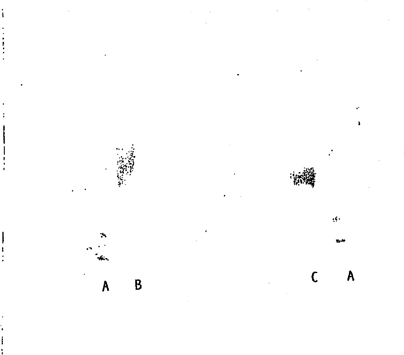 Hasylated polypeptides, especially hasylated erythropoietin