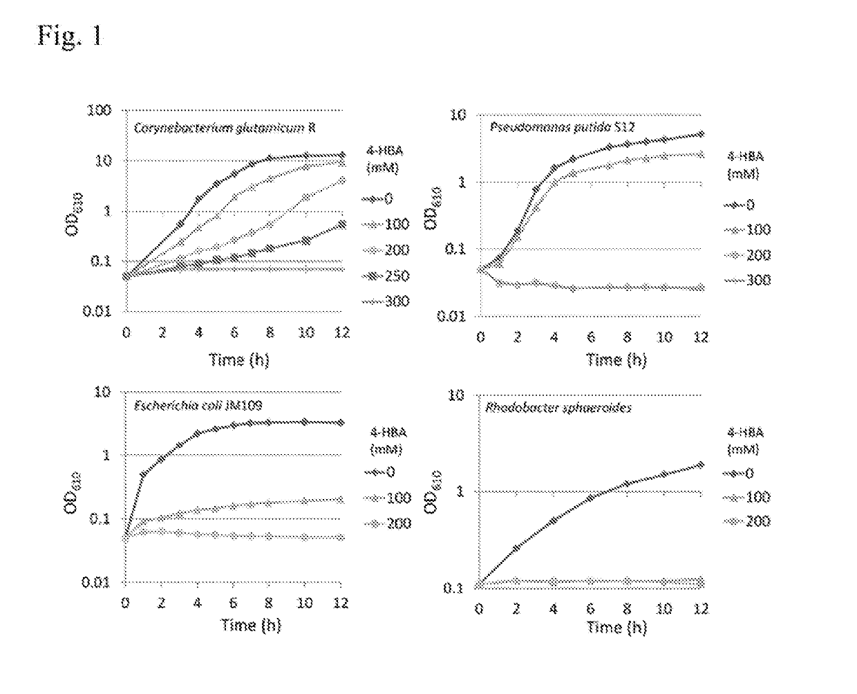 Highly active mutant enzyme for producing 4-hydroxybenzoic acid or salt thereof