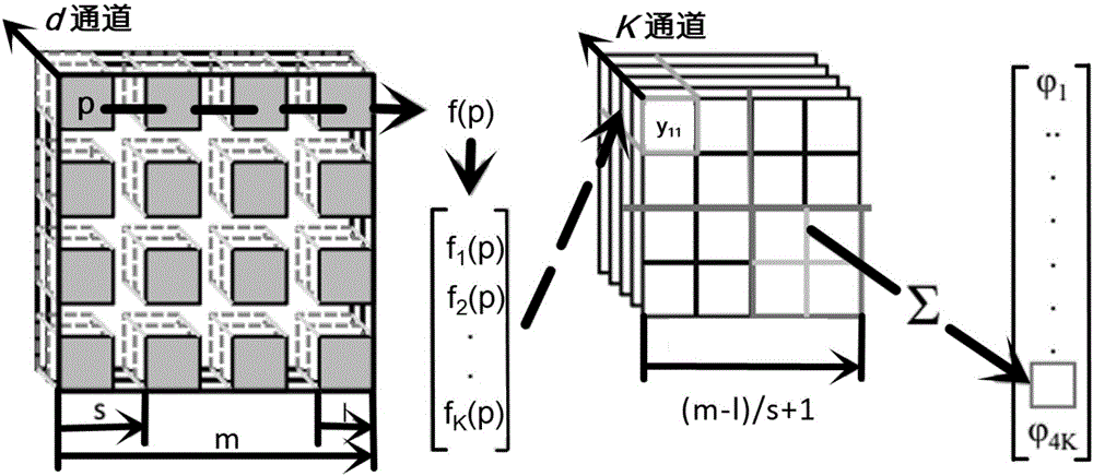 Method for identifying 3D model based on sparse coding